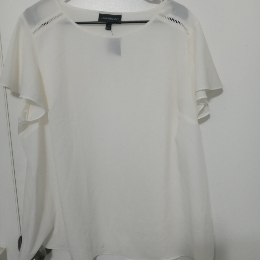 Lane Bryant Sheer Pullover Blouse embroidered on back/shoulders flutter sleeves